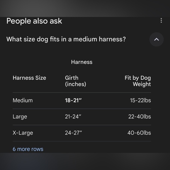 NWOT Cute Pokémon Animal Print Pet Harness and Leash Set - Picture 9 of 9